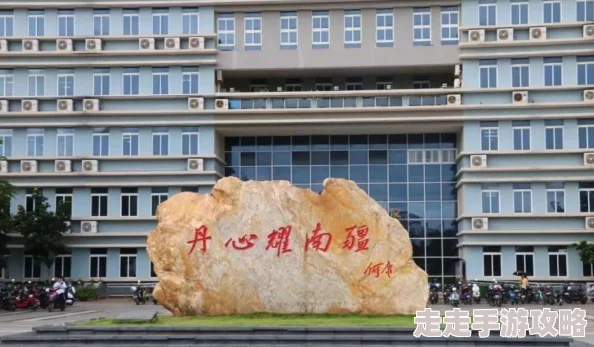 妄想山海T0级阵容配置全解析：打造2023最强战斗组合推荐