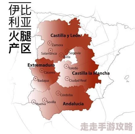9-1-1精品产国产一二三产区区别：震撼揭示各产区独特风味与品质对比，消费者不可不知的真相！