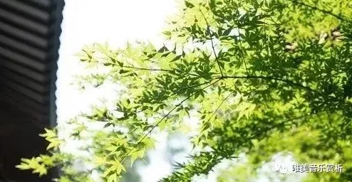 国产精品青草久久久久福利99：最新政策推动绿色经济发展，助力可持续未来，引发社会广泛关注与讨论