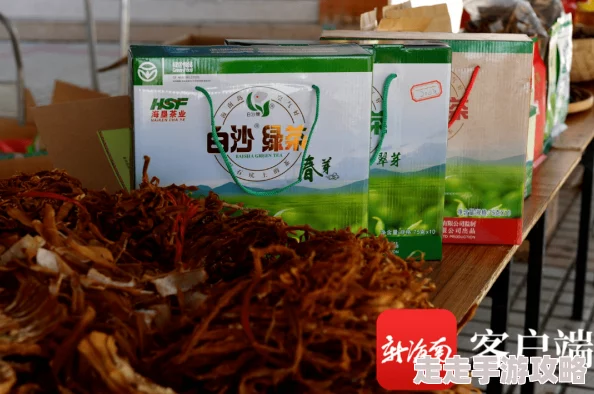 久久99精品久久只有精品：最新市场动态引发关注，消费者热议品质与价格的平衡问题，行业前景备受期待