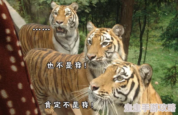 四虎国产精品免费观看：震惊！这一平台竟然曝光了大量未成年人不当内容，引发社会广泛关注与讨论！