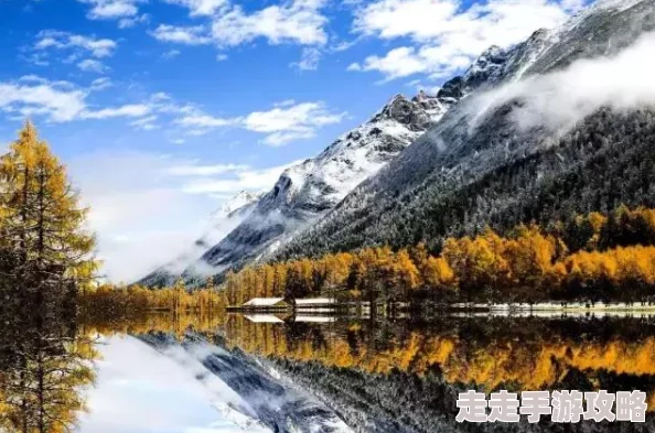 亚洲精品第一国产综合野＂震惊全国，数百名游客在景区遭遇突发事件，紧急救援行动全面展开！