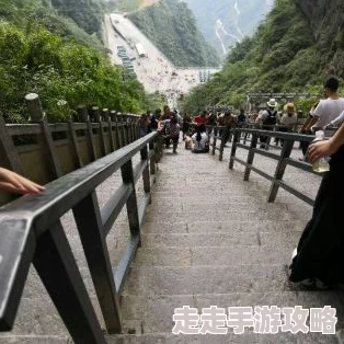 亚洲精品第一国产综合野＂震惊全国，数百名游客在景区遭遇突发事件，紧急救援行动全面展开！