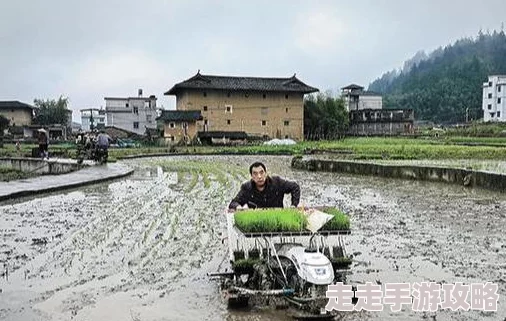 乡村爱情之经营人生好玩吗？全面解析新手玩法指南与攻略