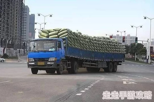 已满十八周岁已带好纸巾上高速这句网络流行语提醒司机注意安全驾驶