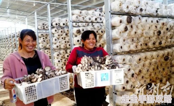 我的世界蘑菇种植全攻略：方法条件一览，惊喜消息！新增高效培育秘籍等你解锁！