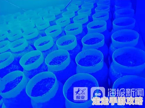 我的世界蘑菇种植全攻略：方法条件一览，惊喜消息！新增高效培育秘籍等你解锁！