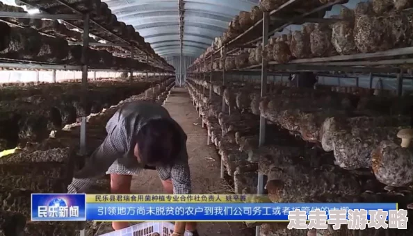 我的世界蘑菇种植全攻略：方法条件一览，惊喜消息！新增高效培育秘籍等你解锁！