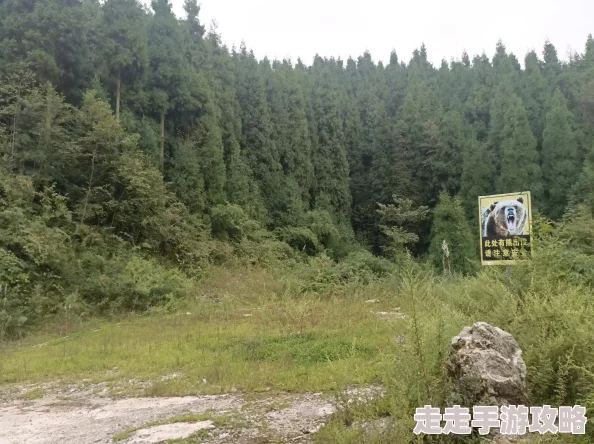 yundings11云顶寺的传说与历史探索