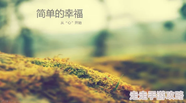 爱情岛永久免费让我们珍惜每一份爱与美好，共同创造幸福生活