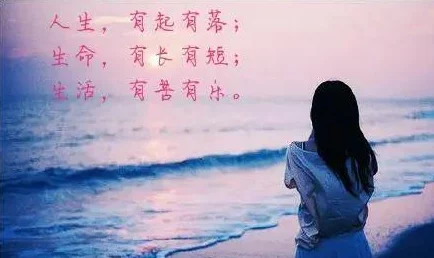 尽在不言中小说心怀梦想勇敢追求幸福就在前方