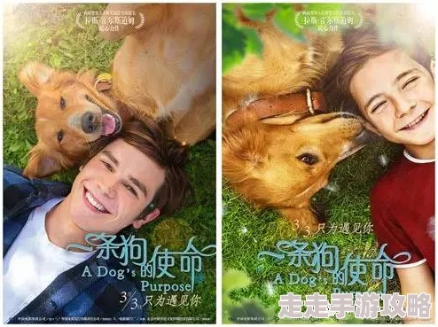 神马草民狗的生活用心陪伴每一天快乐无比温暖人心