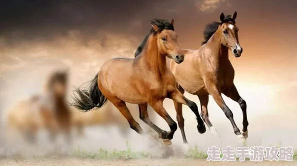 风流种马挨艹记时间管理局第四季让我们珍惜每一刻，追求梦想与成长