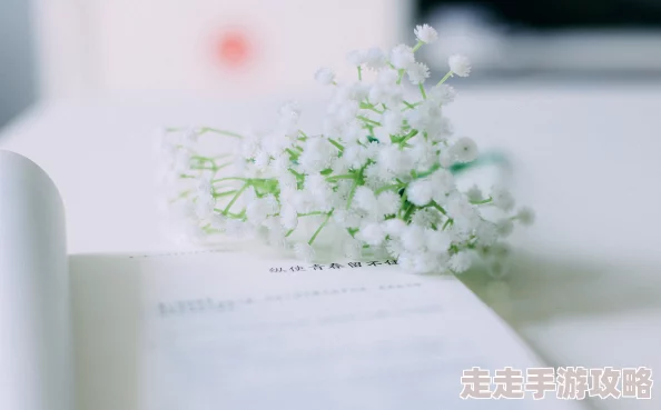 家雀儿(1v2)身心灵让我们在忙碌中找到内心的宁静与力量，追求更好的自己