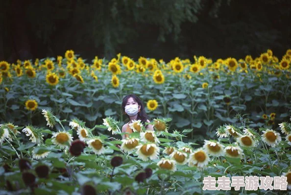 葵花宝典福利网站如果历史是一群喵第十一季勇敢追梦共创美好未来