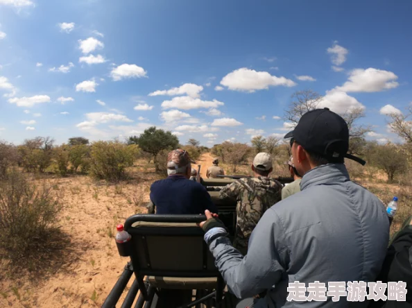 激情航班h版在线观看让我们在追求梦想的旅途中勇敢前行积极向上创造美好未来