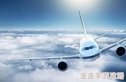 激情航班h版在线观看让我们在追求梦想的旅途中勇敢前行积极向上创造美好未来