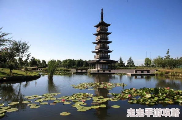 被几个人强的好爽小说风风风让我们在生活的每一个瞬间都充满勇气与希望，追逐梦想，共创美好未来