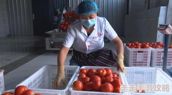 【独家揭秘】天下手游55+12点刷新一条龙任务最优顺序攻略，内含惊喜福利大放送！