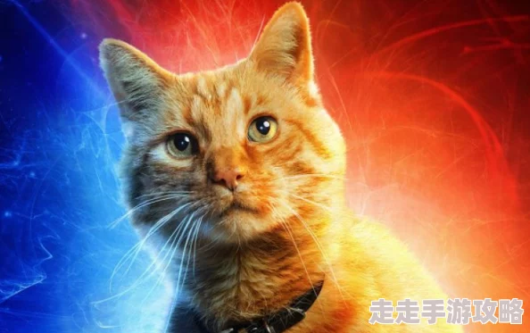 9797色交给你了！奇迹猫团携手共创美好未来，勇敢追梦不放弃