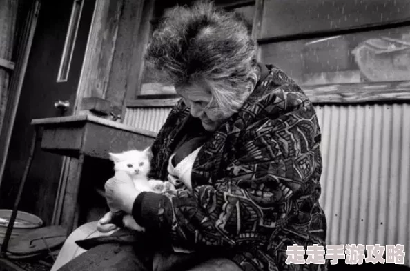 老太婆熟wBBwBBwBBw邻居家的猫在她院子里生了五只小猫