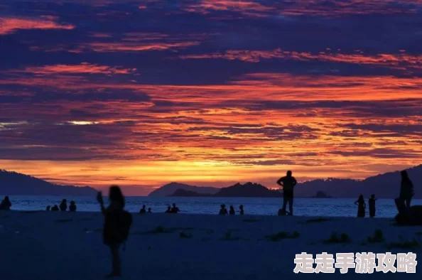 第二春by半岛落日连载至120章沈清和终于等到迟来的告白 第二春by半岛落日连载至120章沈清和终于等到迟来的告白