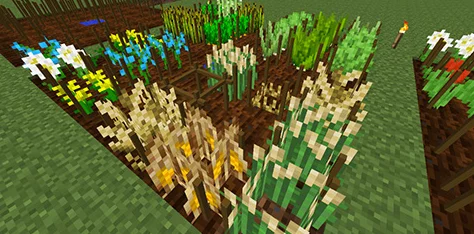 我的世界：揭秘难种植植物细节处理技巧，惊喜消息！助你打造完美绿植乐园