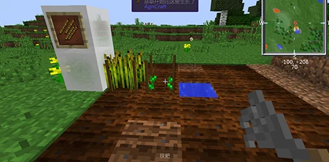 我的世界：揭秘难种植植物细节处理技巧，惊喜消息！助你打造完美绿植乐园