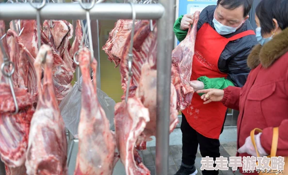 迎合疯狂肉伦耕耘播种产量喜人持续高涨需求旺盛市场火爆 迎合疯狂肉伦耕耘播种产量喜人持续高涨需求旺盛市场火爆