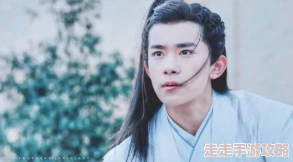 惊喜揭秘！青云志手游小七伙伴属性全解：防御兼辅助，新增专属技能强化来袭！