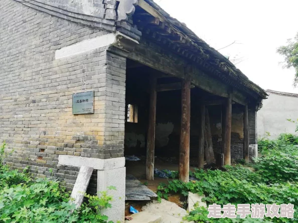 山西窑洞老阿姨生活依旧平静祥和享受着宁静的乡村生活