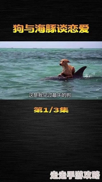亚洲人与动物我仍然相信只要心中有光就能照亮前行的路