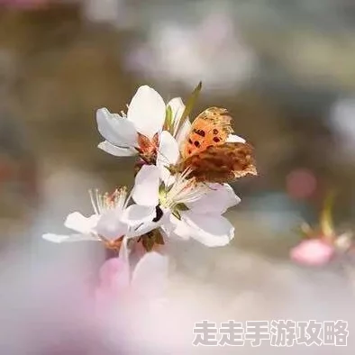晚春小说迟迟未动的笔尖终于落下，故事在春末的微风中悄然展开