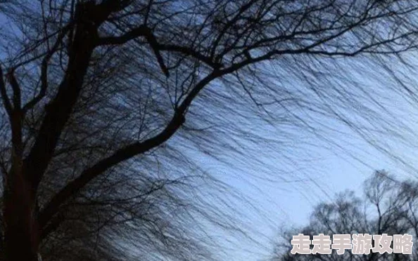 晚春小说迟迟未动的笔尖终于落下，故事在春末的微风中悄然展开