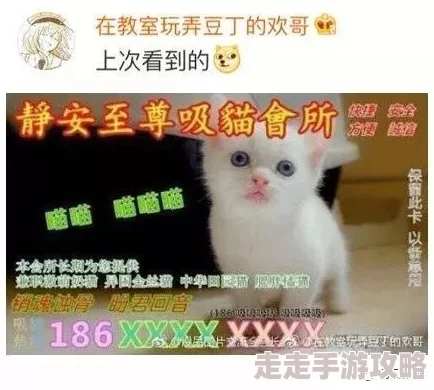 快猫记录世界纪录你情欲絮语心灵相通共创美好未来