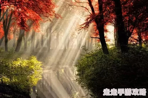 ellieleen让每一天都充满阳光与希望，勇敢追逐梦想，积极面对生活的每一个挑战