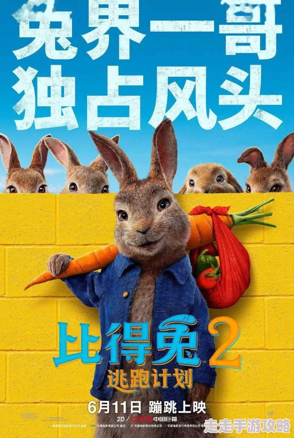 萌宠大爆炸！户外冒险探索小贴士大放送，惊喜消息：赢取豪华宠物旅行套装等你来拿！
