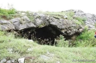 惊喜揭秘：石器时代起源通关条件全面翻译与深度解读，助你轻松达成最终成就！
