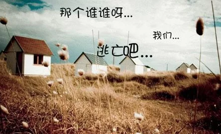 凤囚金宫心怀梦想勇敢追求幸福与自由