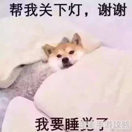 高h游戏听说开发团队里好多程序员都是单身狗所以才做得这么逼真