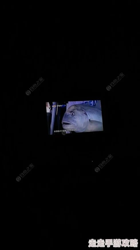 青青草原影院画面模糊音效差体验糟糕浪费时间金钱