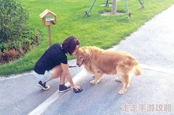 跟狗狗插了两小时小区居民纷纷表示没见过这么大的狗遛狗绳都断了