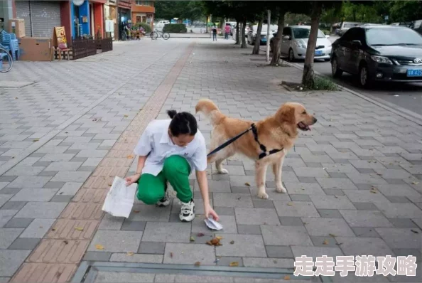 跟狗狗插了两小时小区居民纷纷表示没见过这么大的狗遛狗绳都断了