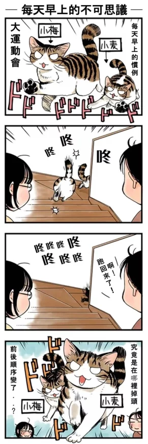 色图小说听说作者大大其实是位知名漫画家还是个猫奴
