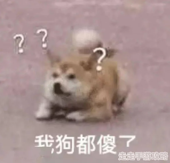 老太婆被躁的嗷嗷叫网友称视频内容夸张或为摆拍