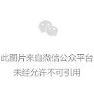 我强行扒开妺妺的腿cao网友：令人作呕的幻想，必须严惩这种行为