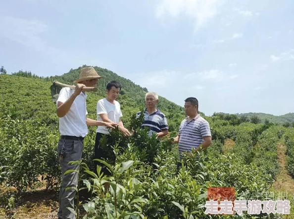 梦的第七章：前期池子抽取价值大揭秘及爆料建议指南