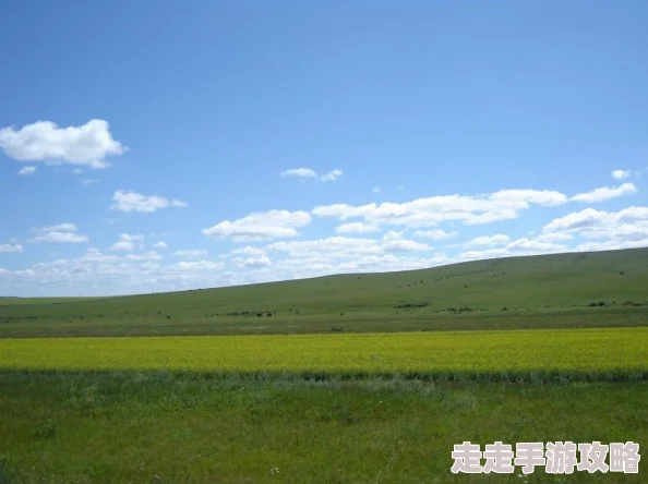 老人船上弄雨荷好吗原标题《雨荷》视频拍摄地为私人住宅未经允许请勿模仿 老人船上弄雨荷好吗原标题《雨荷》视频拍摄地为私人住宅未经允许请勿模仿