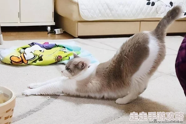 胡秀英光着屁股撅起来图片网友:子虚乌有,恶意P图,已举报 胡秀英光着屁股撅起来图片网友:子虚乌有,恶意P图,已举报