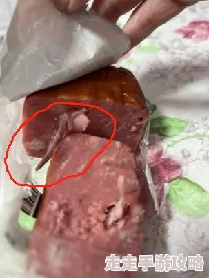 2024热门猫和老鼠小游戏大揭秘：趣味无限，精选推荐！